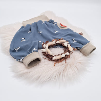 rn-image_picker_lib_temp_3363f597-806b-4bdb-a94c-bc32aa0eacf1